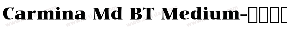 Carmina Md BT Medium字体转换